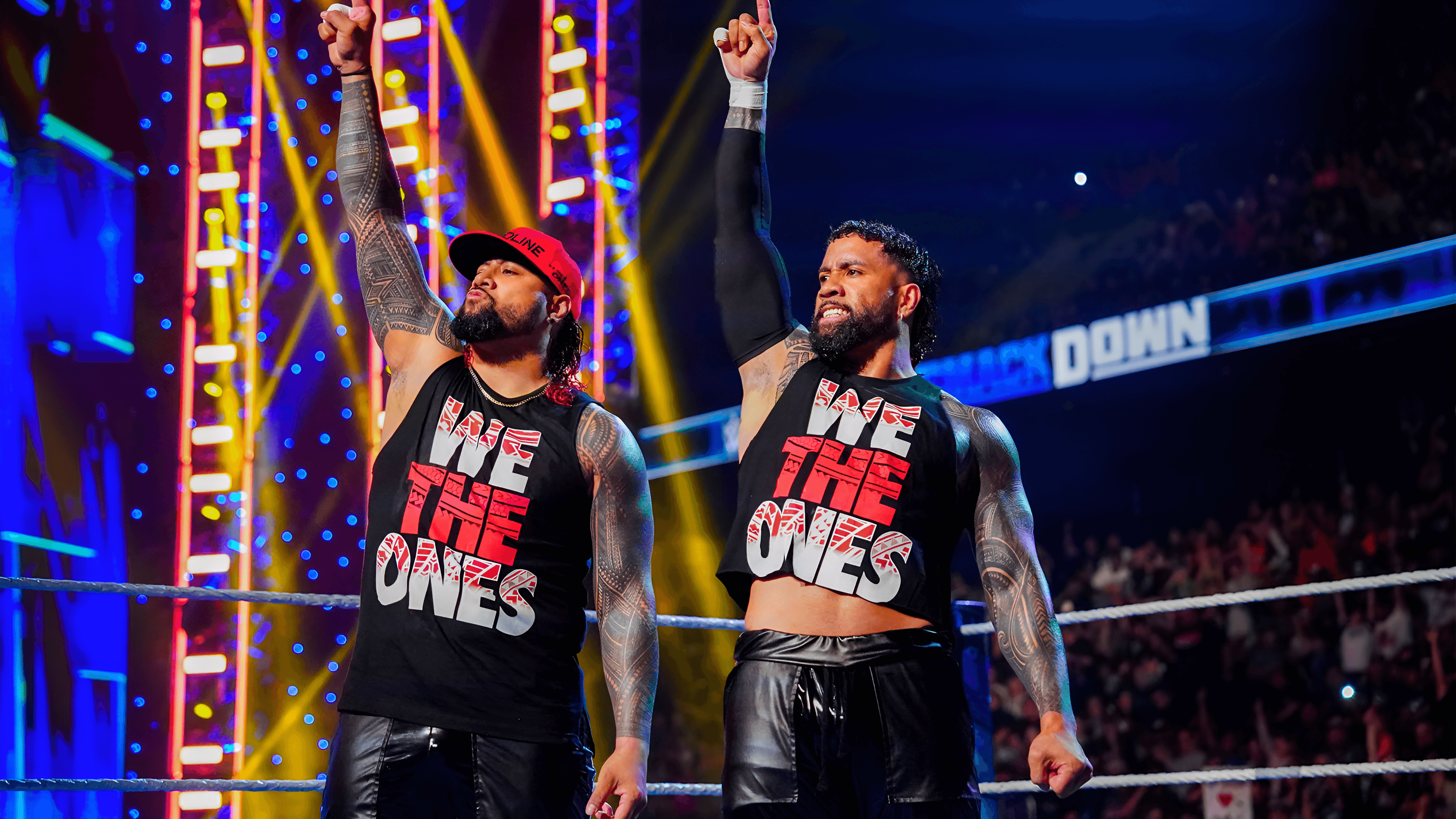 WWE Tag Teams & Stables