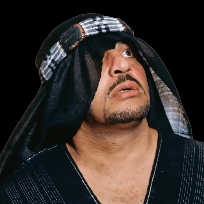 The Sheik